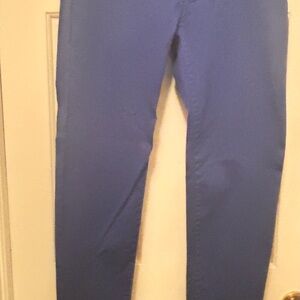 Celebrity Blue Low Rise Skinny Pants